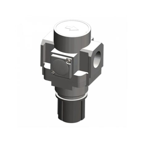 REGULATOR, 1″2 PNEUMATIC