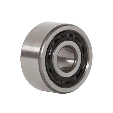 Double Row Deep Groove