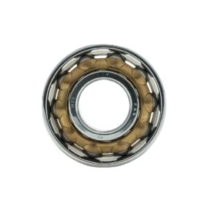 Magneto Bearing