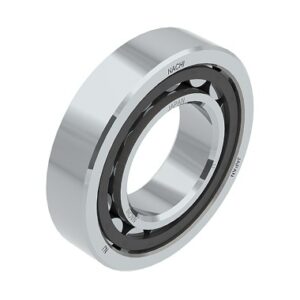 N300 Series Cylindrical Roller Bearing