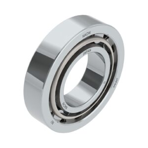 NU300 Series Cylindrical Roller Bearing