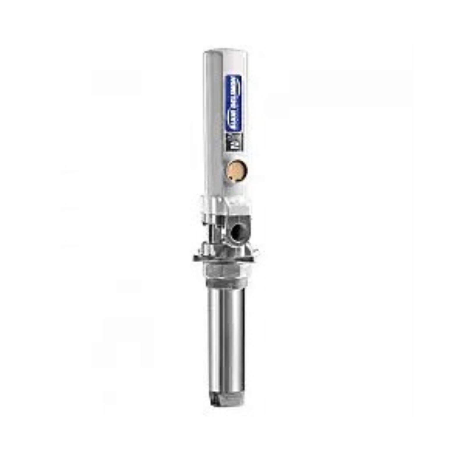 PM2 31 Pump