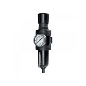 REGULATOR FILTER 12″