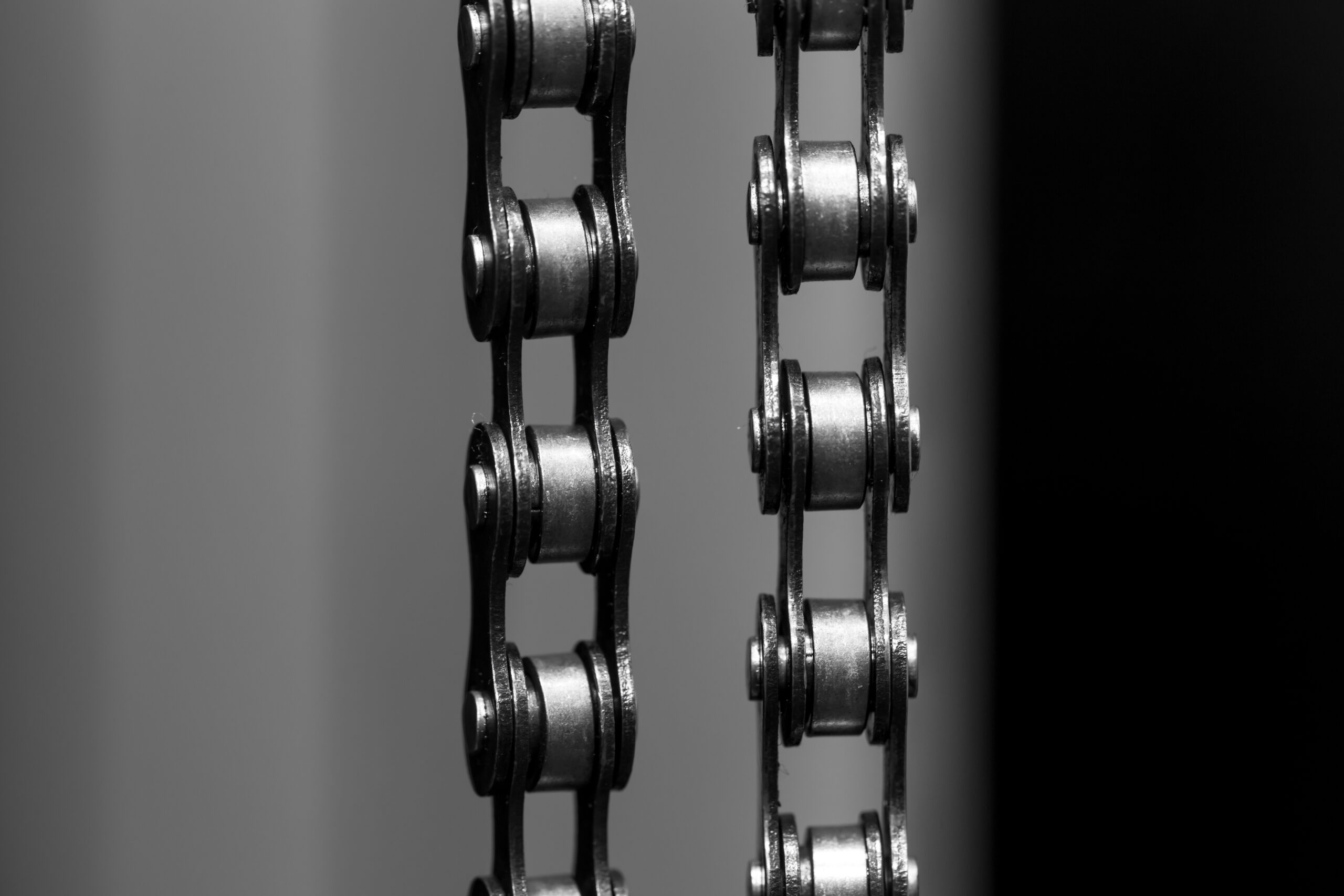 chains sprockets banner