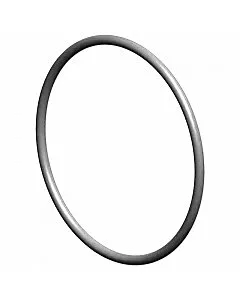 ho461 oring 1 jpg