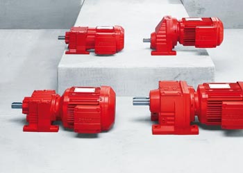 Gear Motor