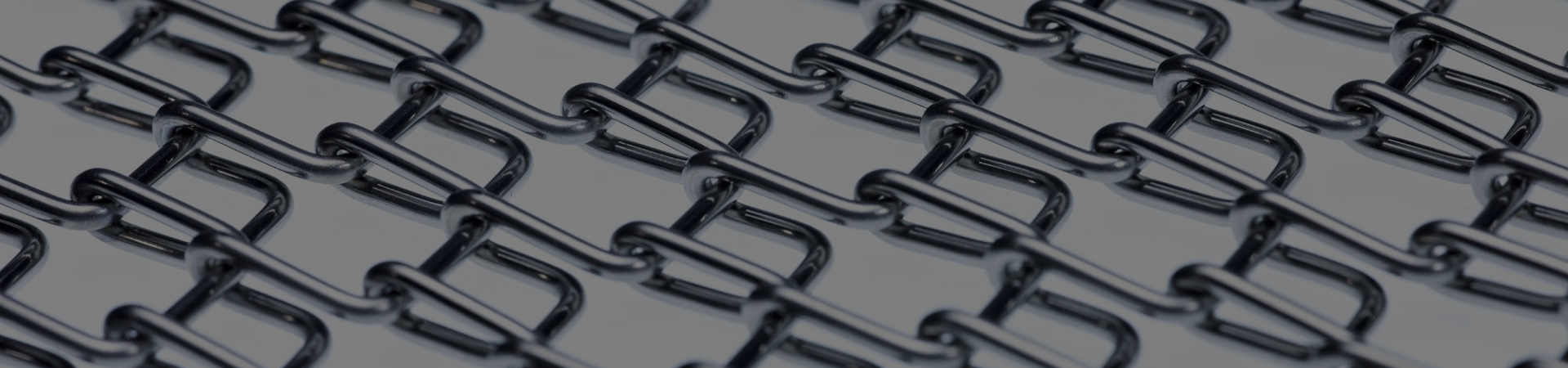 Wire Belt