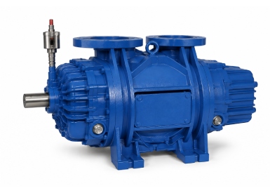 Dry Vacuum Pump